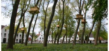 Beguinages Beguinages
