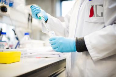 Record Number of FDI Projects & Jobs in Flanders