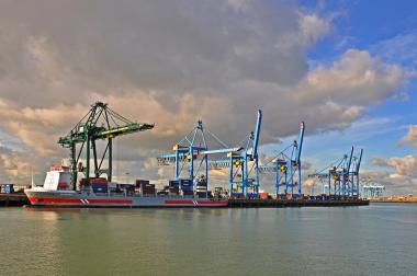 Record-Breaking Year for Flemish Exports